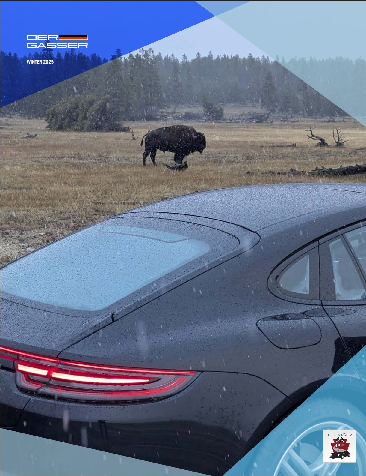 Latest cover of Der Gasser